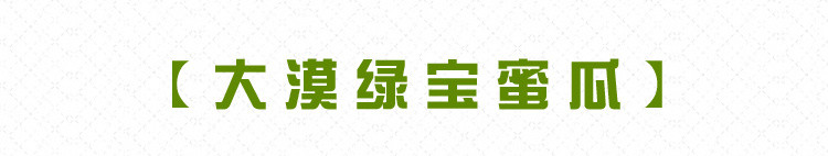 甘肃民勤沙漠银蒂蜜瓜黄金蜜瓜黄河蜜瓜哈密瓜白兰瓜奶油瓜【飞哥美食】