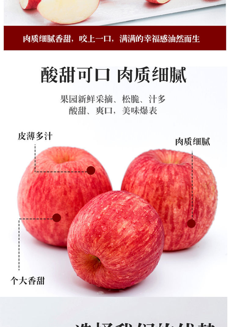 山东烟台栖霞红富士苹果当季新鲜水果5斤脆甜平果多汁不打蜡【飞哥美食】