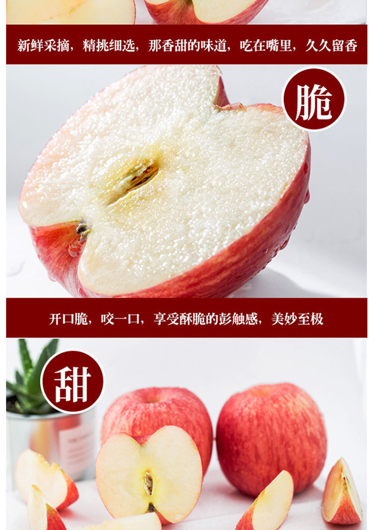 山东烟台栖霞红富士苹果当季新鲜水果5斤脆甜平果多汁不打蜡【飞哥美食】