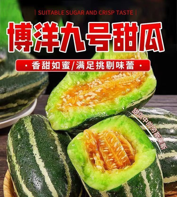 天拖 【天津西青特产】西青博洋9号甜瓜