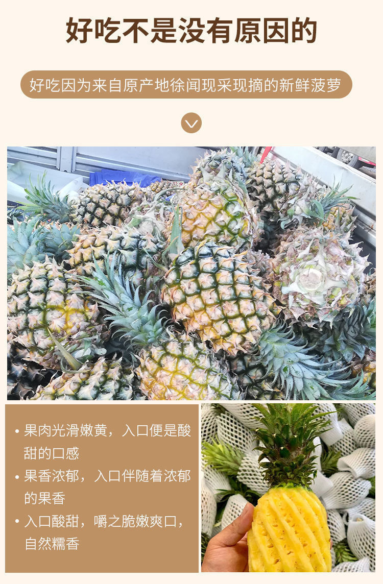 【9斤大果】广东徐闻香水菠萝 水果精品应季超甜新鲜水果非台湾凤梨【华洛美食】