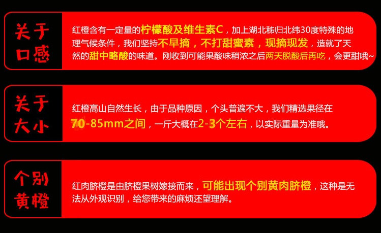 农家自产 新鲜水果三峡中华红肉血橙子5斤大果