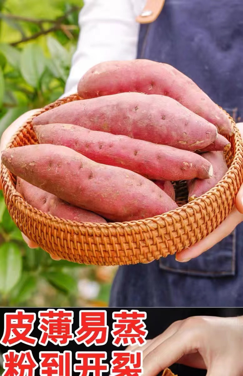 农家自产 攀枝花仁和区西瓜红红薯