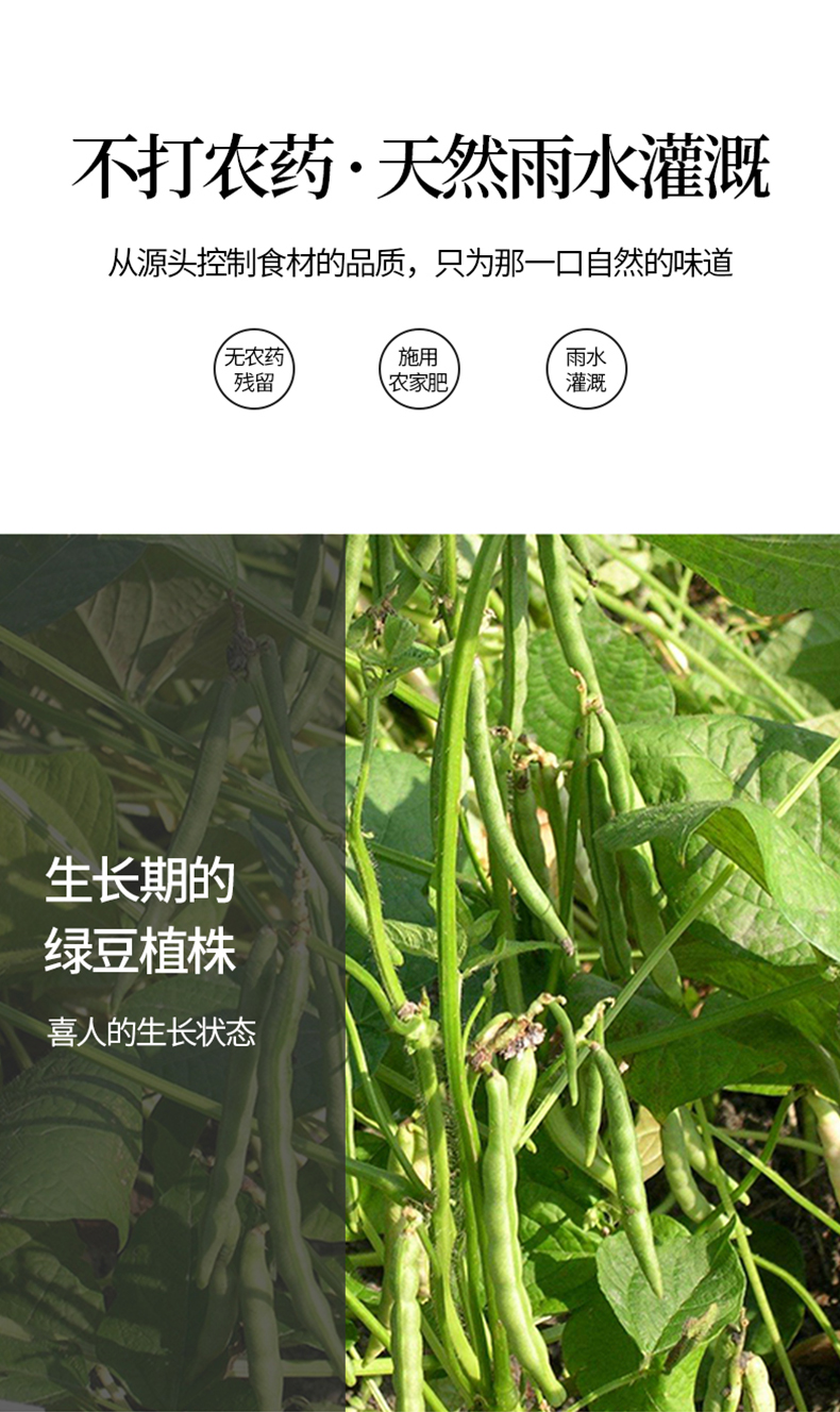 陕北农家特产绿豆五谷杂粮2.5kg绿豆布袋