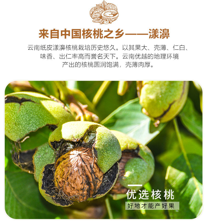 云南纸皮核桃薄皮新货野生丑核桃孕妇儿童零食坚果批发1斤3斤5斤