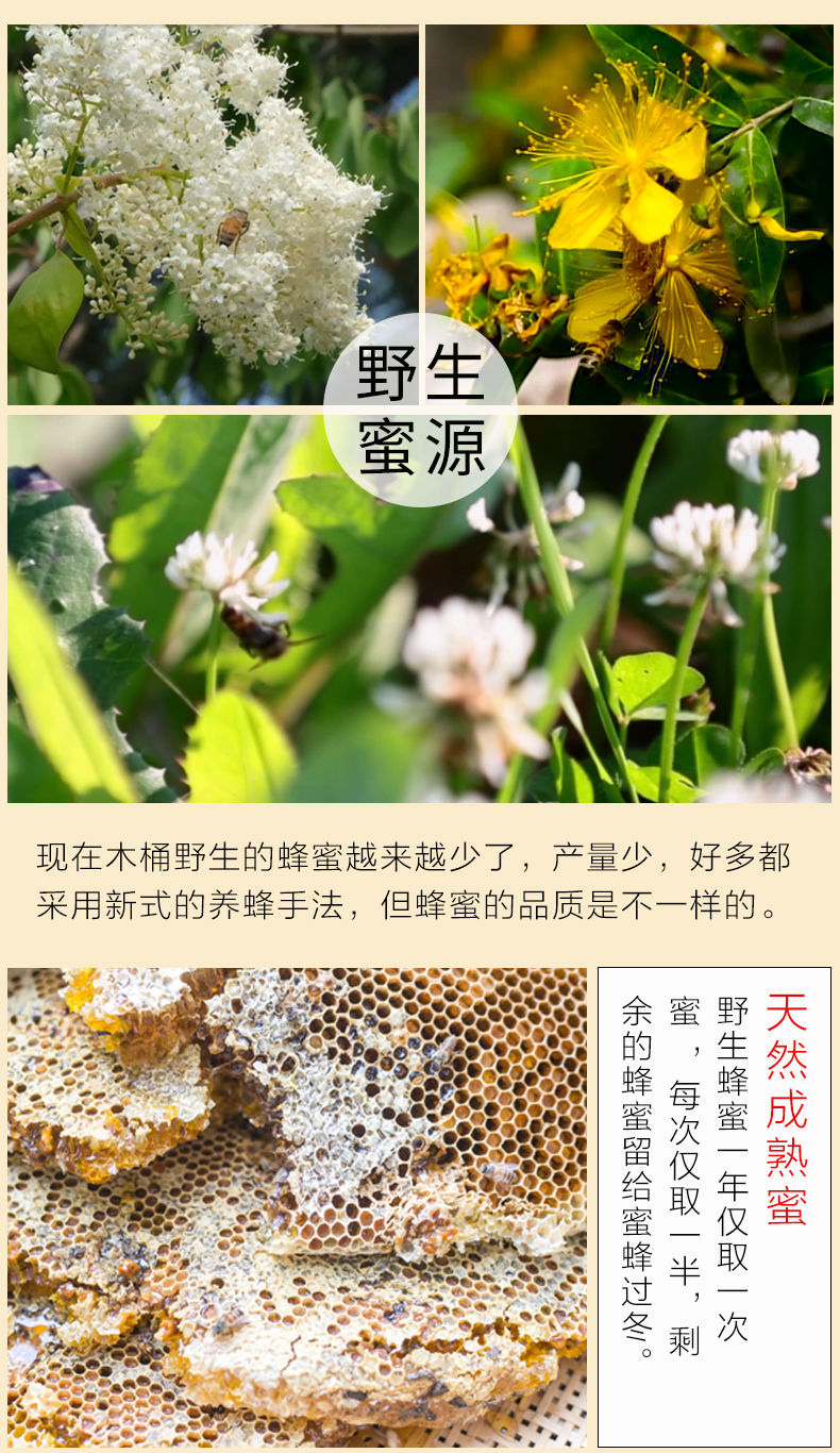 巧杰 蜂蜜正宗天然农.家自产百花蜂蜜野生土蜂蜜小瓶蜂巢蜜