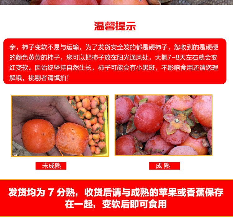 瓦豆 火晶柿子应季新鲜水果当季大果临潼脆水晶软甜小柿子15/30枚