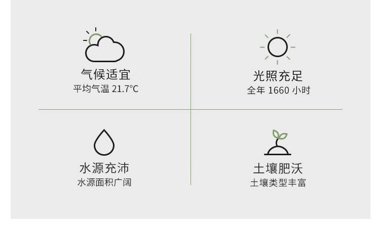 瓦豆  广西皇帝柑新鲜橘子当季水果贡柑橘蜜桔非沃柑砂糖橘