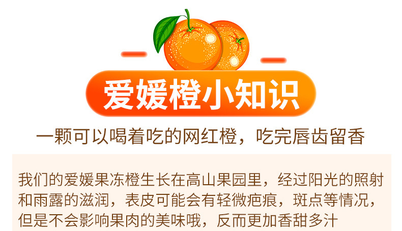 【12.15川工带川货】四川爱媛38号果冻橙带箱5斤 新鲜当季水果柑橘包邮