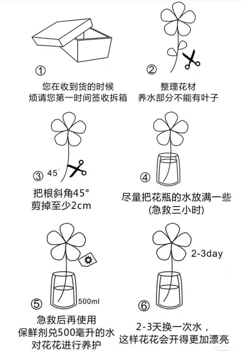 农家自产 云南通海小雏菊鲜切花花束节庆用花礼品花束10枝多头基地直发