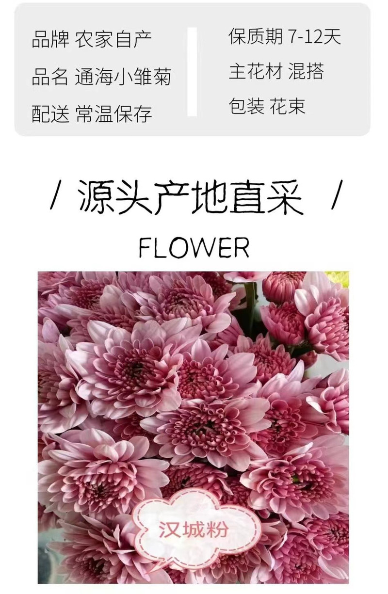 农家自产 云南通海小雏菊鲜切花花束节庆用花礼品花束10枝多头基地直发