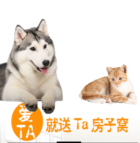 狗窝四季通用猫窝泰迪可清洗狗屋床可爱中小型犬猫宠物用品狗垫子