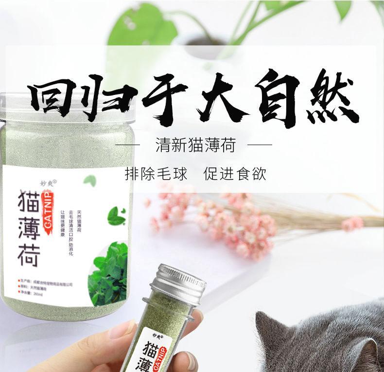 猫薄荷猫草猫零食猫咪薄荷球助化毛球清洁口腔猫薄荷粉猫咪零食