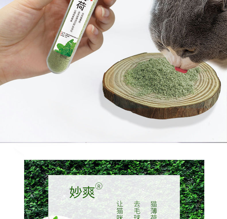 猫薄荷猫草猫零食猫咪薄荷球助化毛球清洁口腔猫薄荷粉猫咪零食