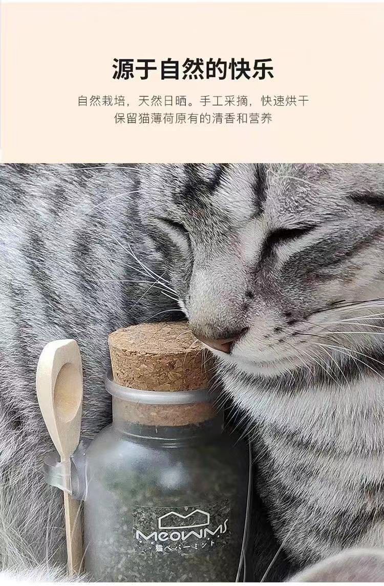 【猫薄荷】100ml清洁口腔助消化猫零食猫草薄荷粉磨牙食用去毛球