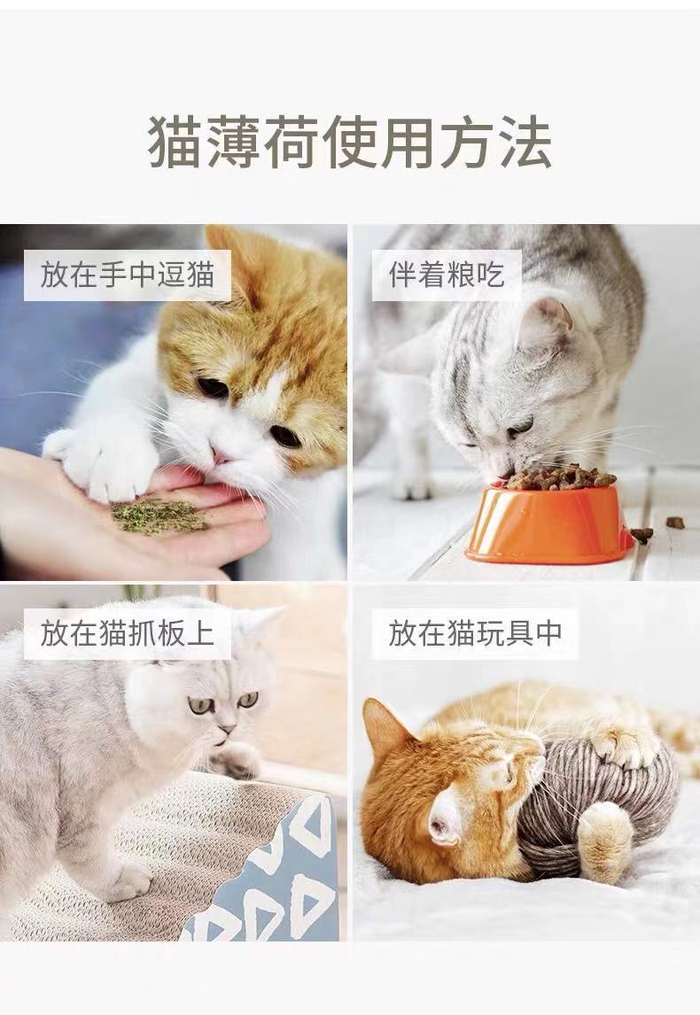 【猫薄荷】100ml清洁口腔助消化猫零食猫草薄荷粉磨牙食用去毛球