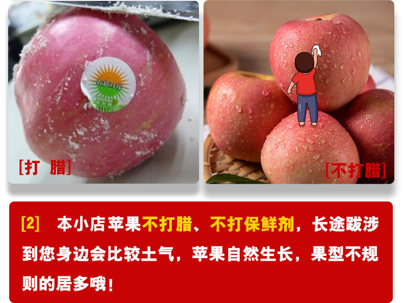 现摘现发陕西红富士苹果10/5斤脆甜当季新鲜苹果水果整箱批发