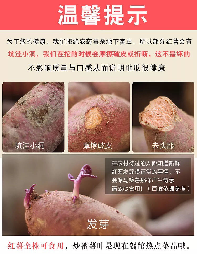 【香甜粉糯】沙地紫薯批发板栗番薯地瓜红薯新鲜蜜薯蔬菜2/5/9斤