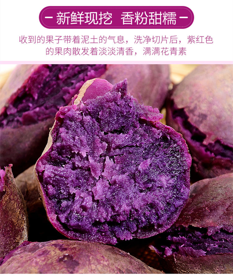 【香甜粉糯】沙地紫薯批发板栗番薯地瓜红薯新鲜蜜薯蔬菜2/5/9斤