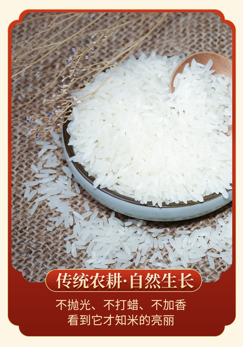 八宝贡 润口型5kg 长粒香软米  一季稻新米 软糯香甜