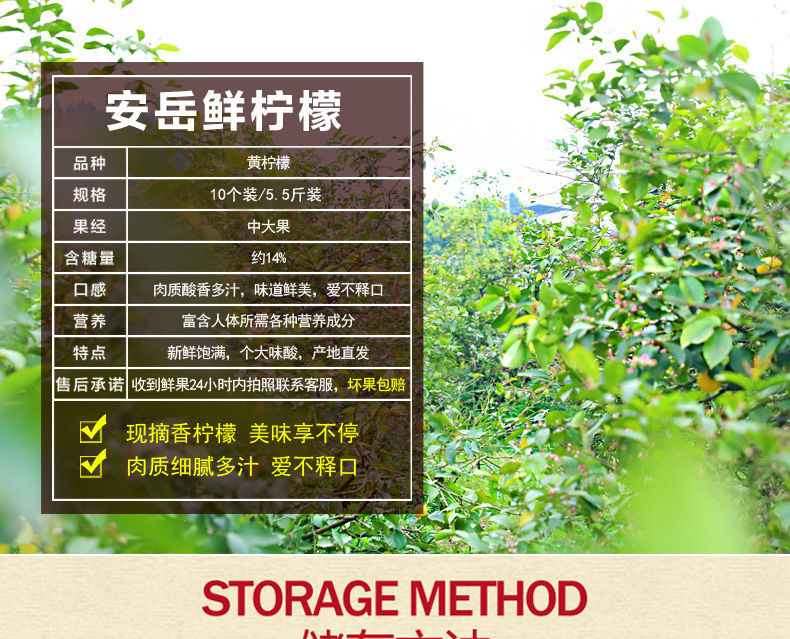 大牛哥  新鲜安岳柠檬新鲜水果黄柠檬孕妇水果应季水果柠檬包邮【大均良品】