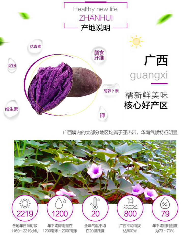 大牛哥  新鲜紫薯地瓜紫色番薯粗粮辅新鲜蔬菜紫薯【大均良品】