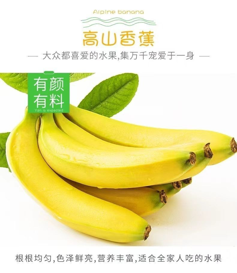 大牛哥 云南高山甜香蕉大香蕉新鲜水果应季整箱包邮非小米蕉