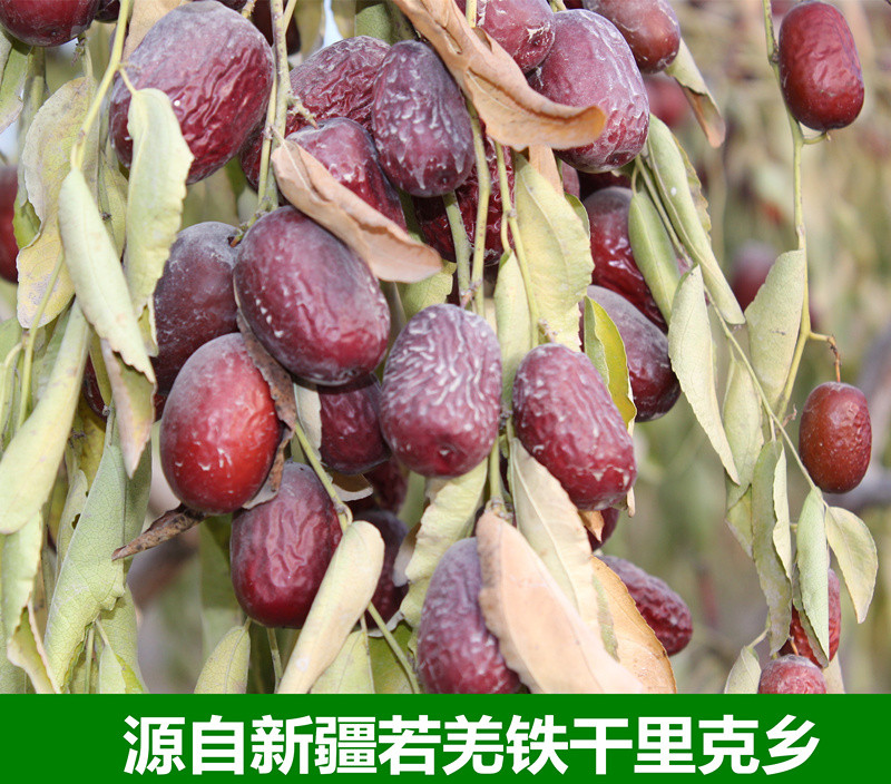 兵里红 【好货】新疆红枣新枣5斤灰枣若羌一等红枣即食灰枣红枣粥枣吃货零食枣子