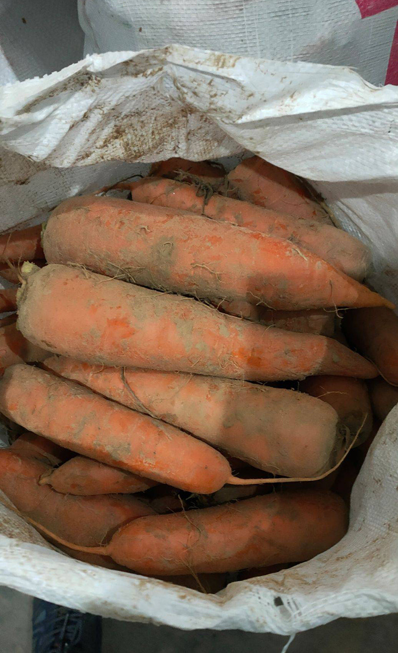 【9斤超值】新鲜蔬菜农家自种现挖带泥水果胡萝卜新鲜 现挖红萝卜