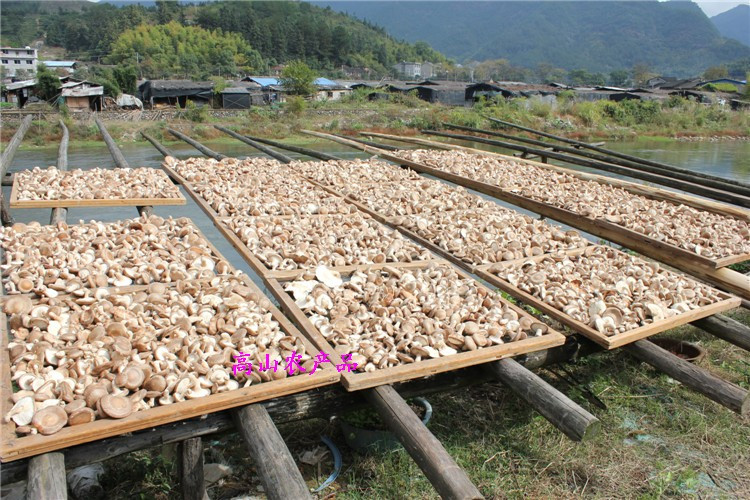 品菌食品 庆元农家香菇干货商用特级小香菇野生蘑菇冬菇花菇菌菇250g