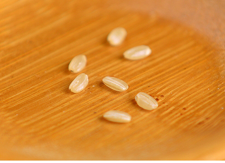 山满田 4斤真空装糙米 糙米新米玄米农家发芽米胚芽米健身脂减饭五谷杂粮