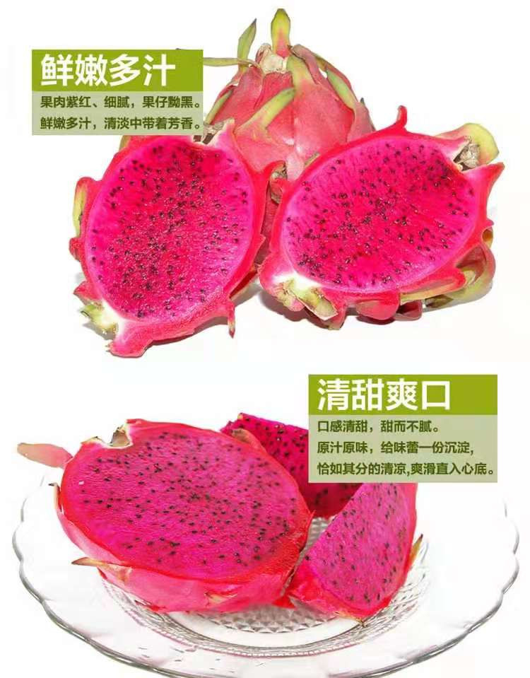 佳怡康 红心火龙果 新鲜应季水果  多规格可选2/3/5斤
