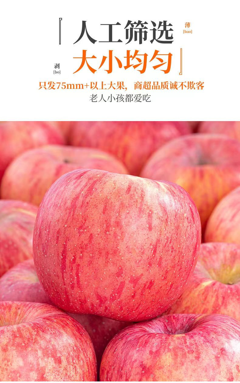 佳怡康 正宗陕西洛川红富士苹果新鲜苹果当季水果整箱包邮