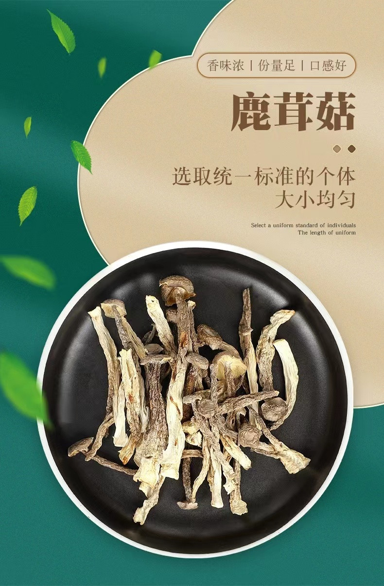 品菌食品 新鲜鹿茸菇 煲汤首选食材