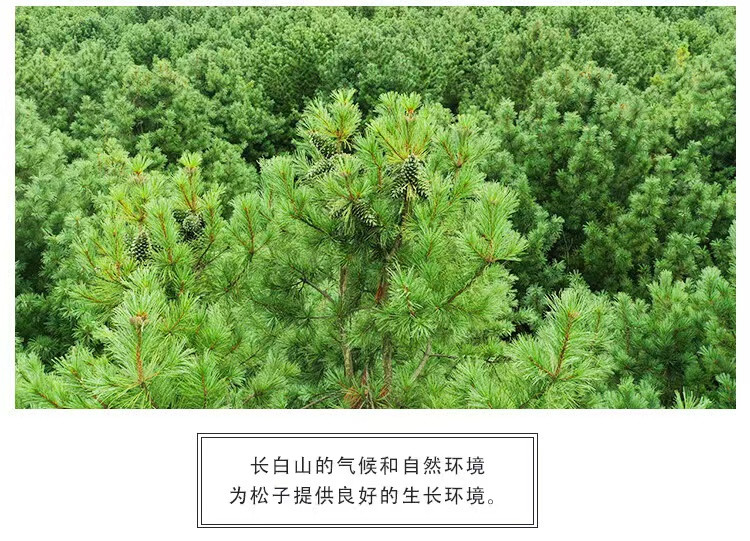 裕福源 【邮惠优选】手工开口松子500g