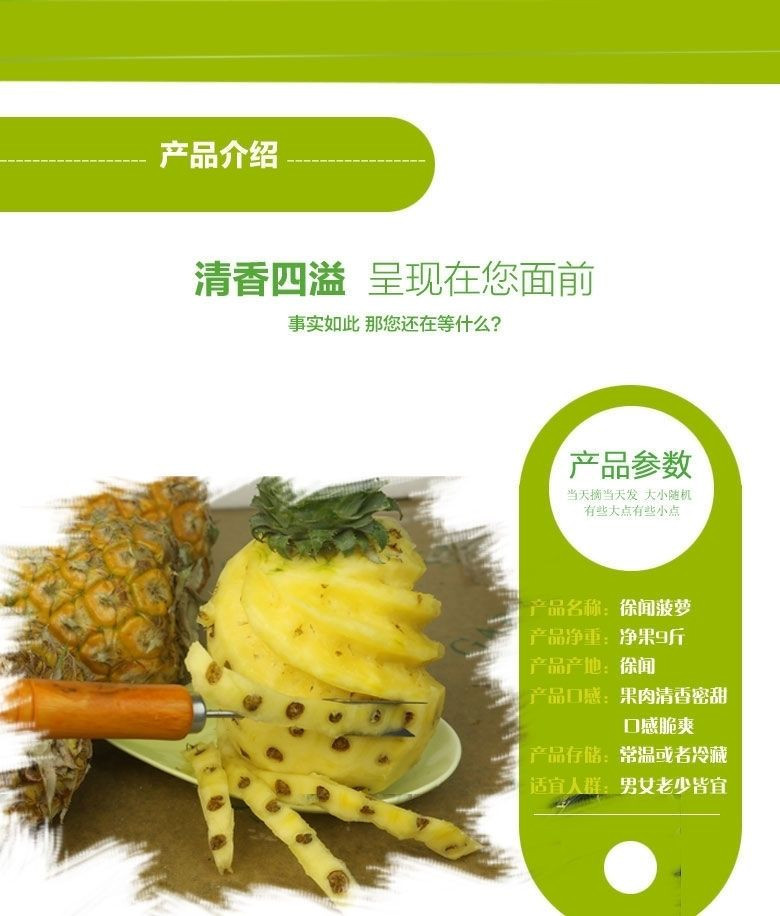 徐闻菠萝5斤新鲜水果应季现摘除味菠萝【众品汇】