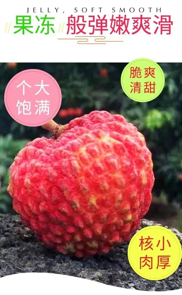 荔枝王超大甜火山大荔枝【众品汇】