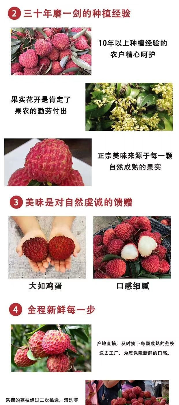 荔枝王超大甜火山大荔枝【众品汇】