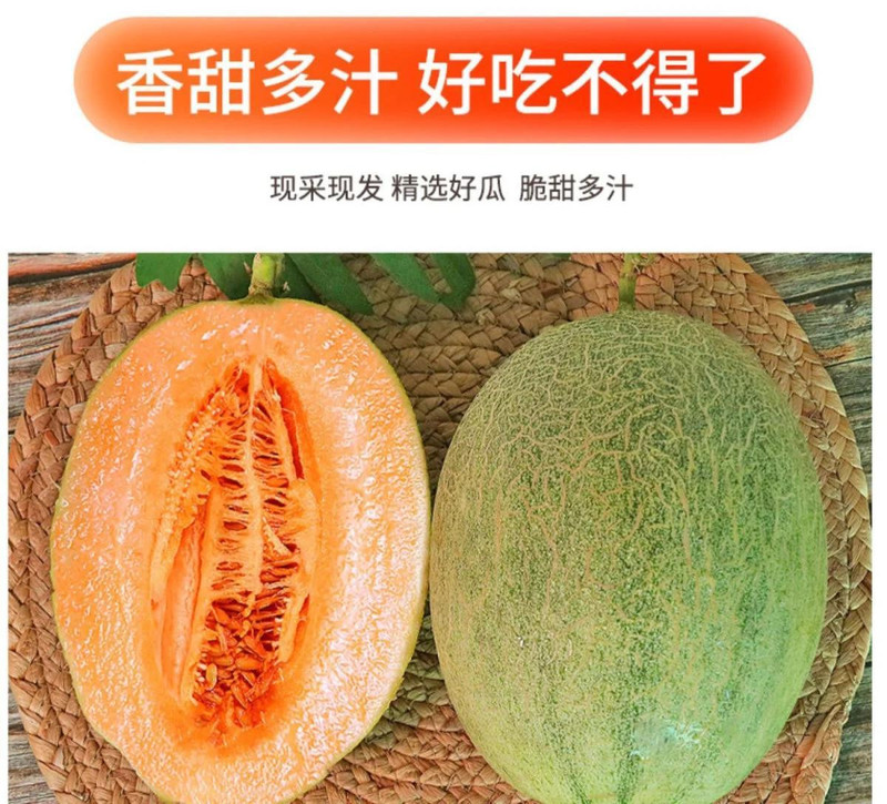 大牛哥 正宗西州哈密瓜应季新鲜水果直发包邮