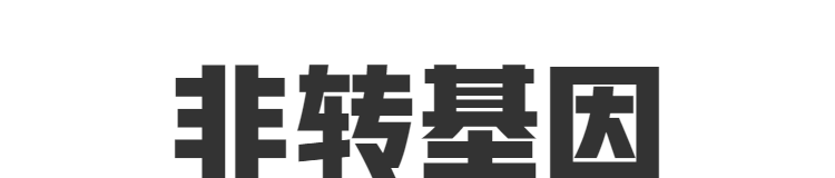 东北特产新鲜黑糯玉米棒甜糯粘玉米真空包装粗粮低脂早餐非转基因