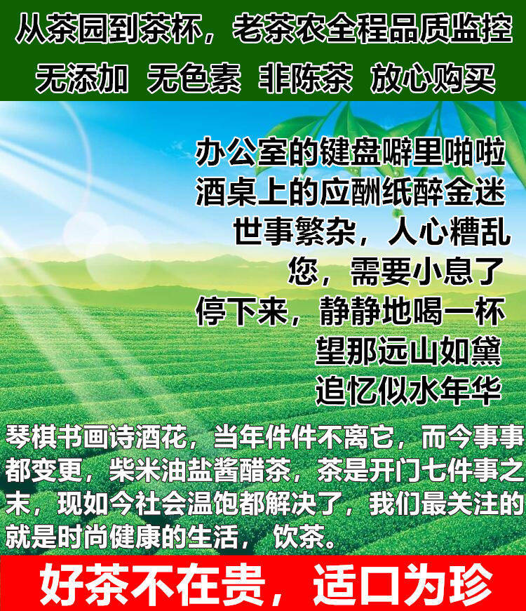 毛尖茶叶2020新茶茶叶信阳绿茶春茶散装明前手工嫩芽浓香耐泡茶