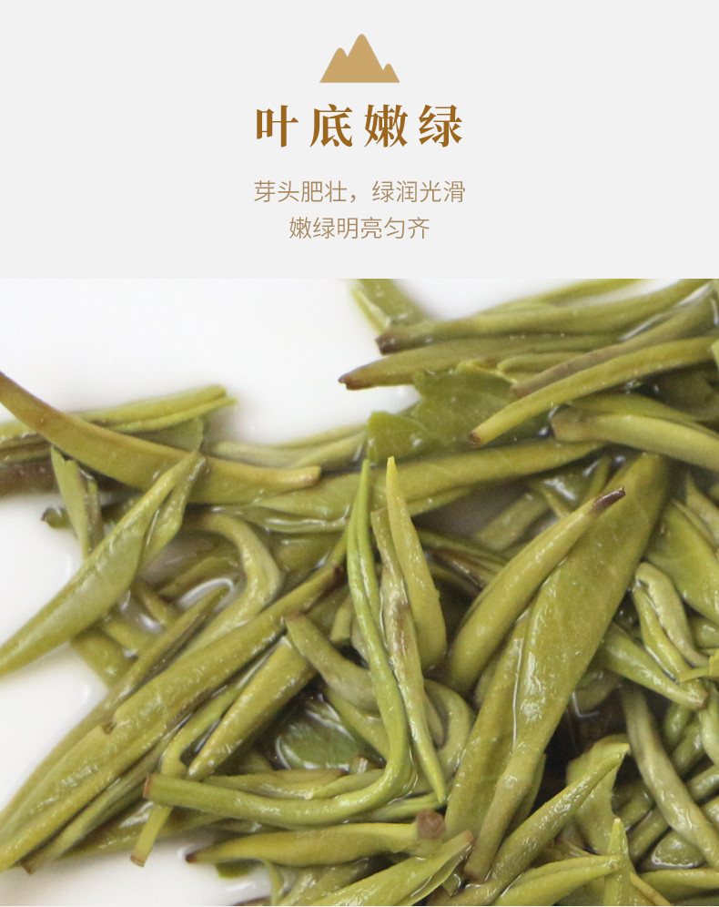 武当道茶 特级天然绿茶【太极云芽】200g礼盒装绿茶茶叶高山云雾单芽绿茶佳节送礼佳品