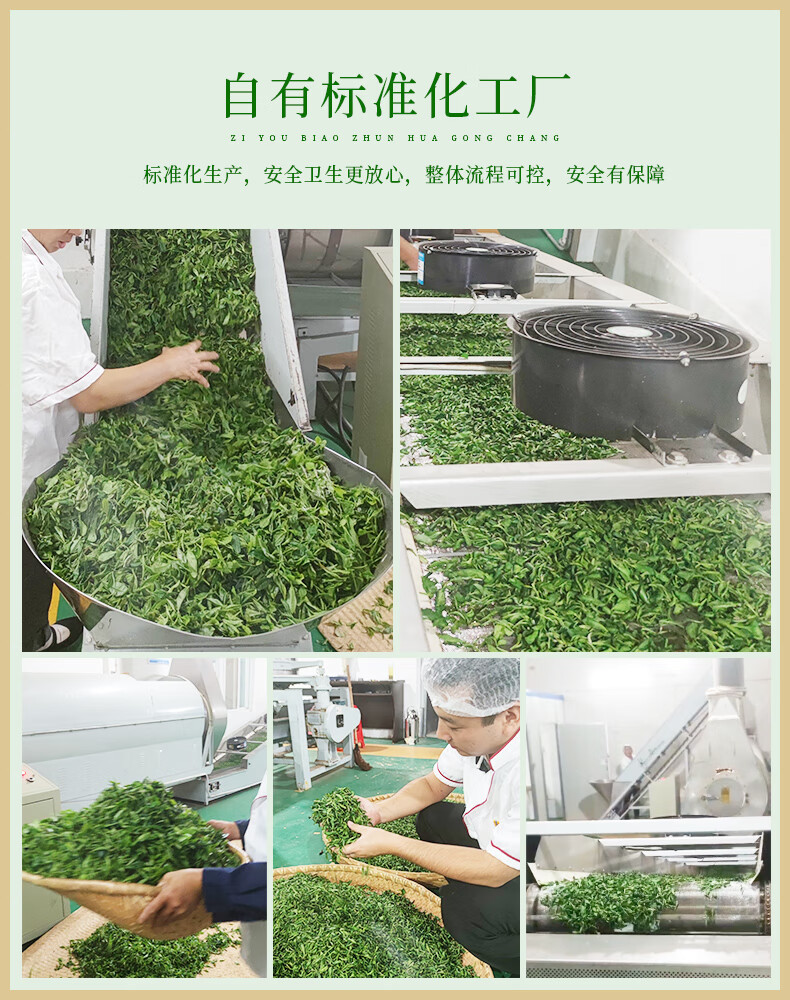 武当道茶 太极翠峰绿茶罐装250g