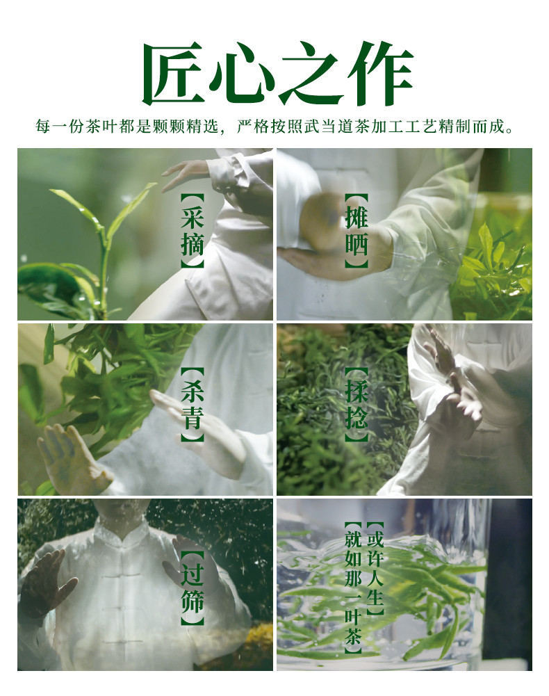 武当道茶 清香绿茶太极仙露75g