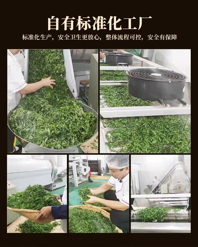 武当道茶 湖北天然绿茶【太极仙露】200g礼盒装云雾高山香浓型绿茶茶叶节送礼