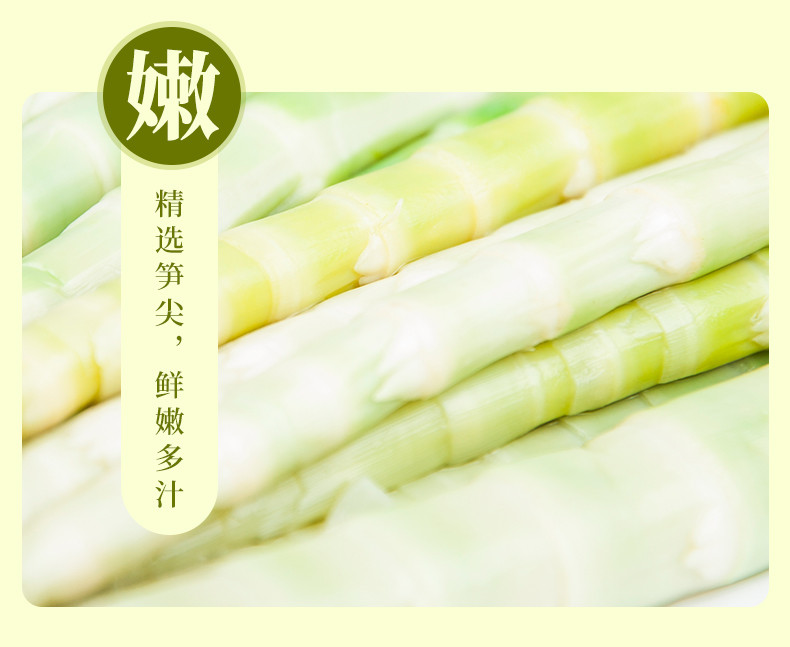 武当竹 春笋小鲜笋大山脆嫩竹笋500g