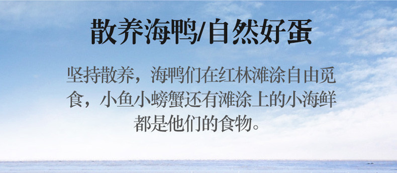 恋潮 广西北海红树林流油烤海鸭蛋20枚（60-70g/枚）礼盒装