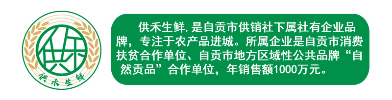 暖冬大促 自贡特产信宽麻辣萝卜干250g*2袋 香辣脆爽下饭神器