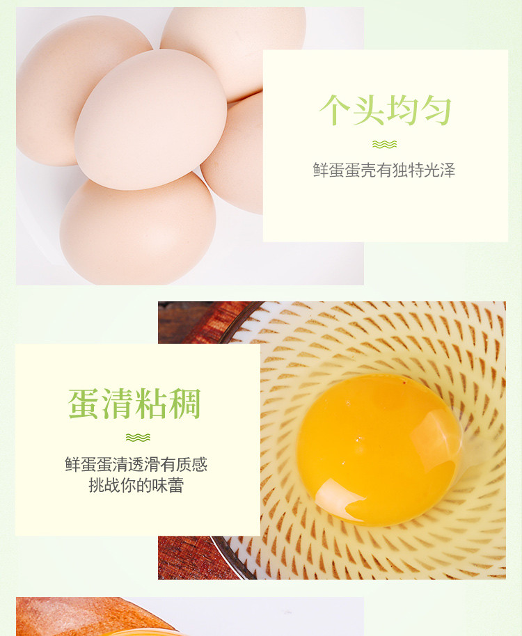 【孝感市振兴馆】正宗土鸡蛋 农家新鲜鸡蛋柴鸡蛋健康鸡蛋营养美味鸡蛋整箱包装10枚