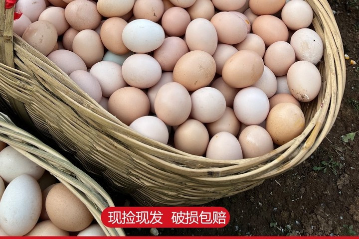 蒲农荟 农家散养土鸡蛋笨鸡蛋柴鸡蛋现捡现发30枚
